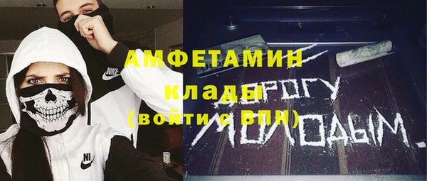 мдпв Елизово
